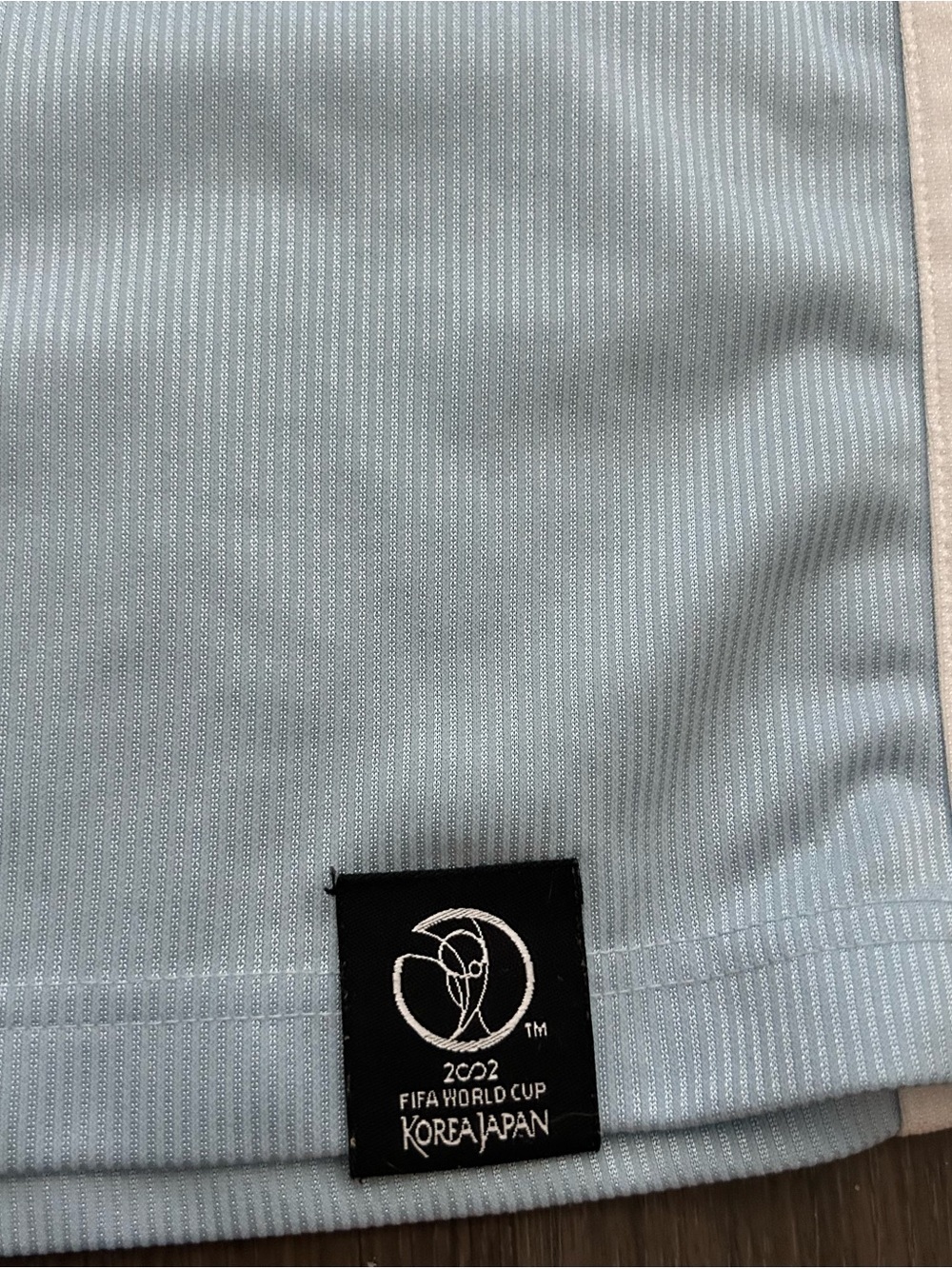 2002 FIFA World Cup Korea Japan Light Blue Sleeveless Jersey - Picture 2 of 4